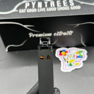 Pyntrees 2g disposable vape