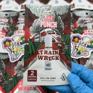 Punch 2g disposable