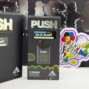 Push 2g disposable with screen