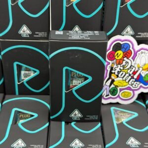 Plug N Play Livest 1G Disposable